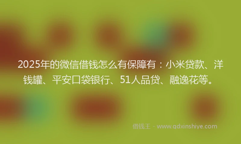 2025年的微信借钱怎么有保障有：小米贷款、洋钱罐、平安口袋银行、51人品贷、融逸花等。