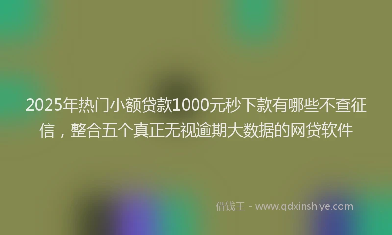 2025年热门小额贷款1000元秒下款有哪些不查征信，整合五个真正无视逾期大数据的网贷软件