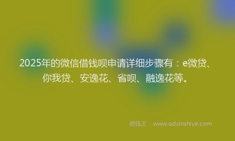2025年的微信借钱呗申请详细步骤有：e微贷、你我贷、安逸花、省呗、融逸花等。
