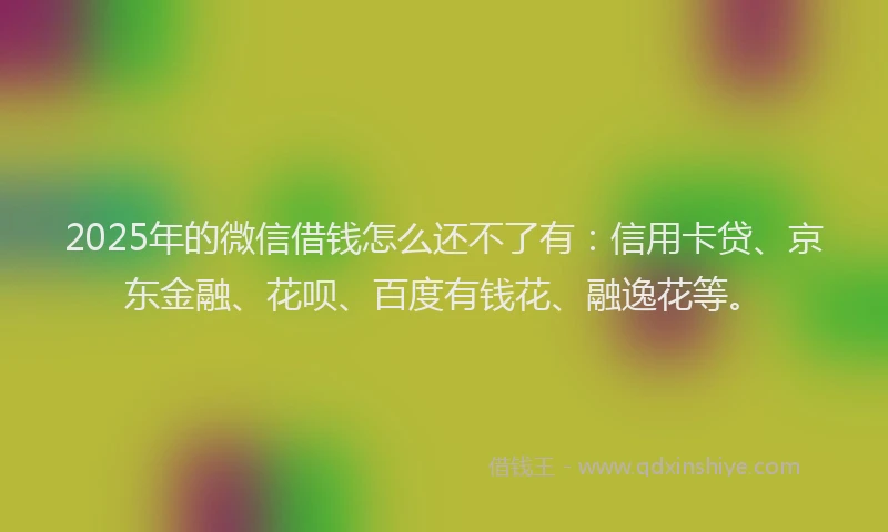 2025年的微信借钱怎么还不了有：信用卡贷、京东金融、花呗、百度有钱花、融逸花等。