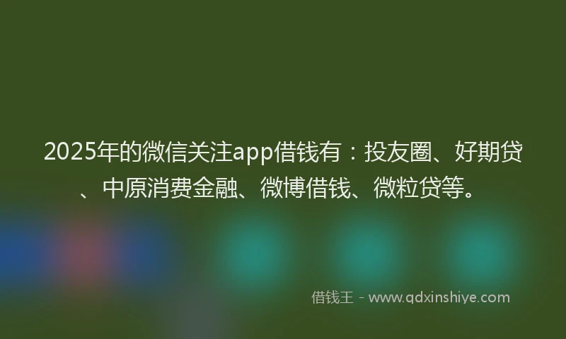 2025年的微信关注app借钱有：投友圈、好期贷、中原消费金融、微博借钱、微粒贷等。