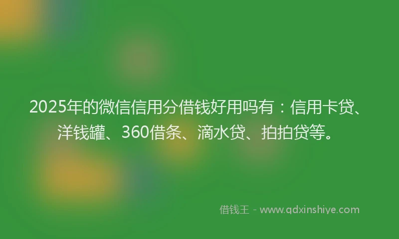 2025年的微信信用分借钱好用吗有：信用卡贷、洋钱罐、360借条、滴水贷、拍拍贷等。