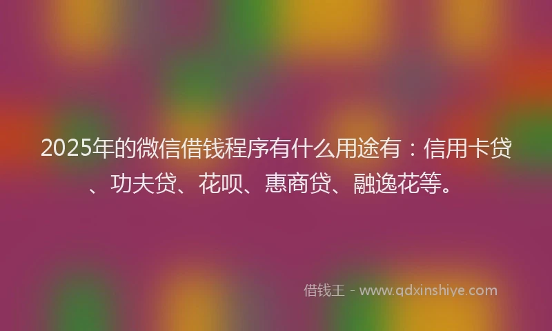 2025年的微信借钱程序有什么用途有：信用卡贷、功夫贷、花呗、惠商贷、融逸花等。