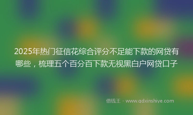 2025年热门征信花综合评分不足能下款的网贷有哪些，梳理五个百分百下款无视黑白户网贷口子