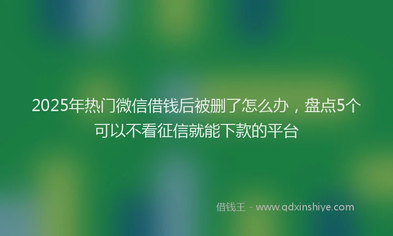 2025年热门微信借钱后被删了怎么办，盘点5个可以不看征信就能下款的平台