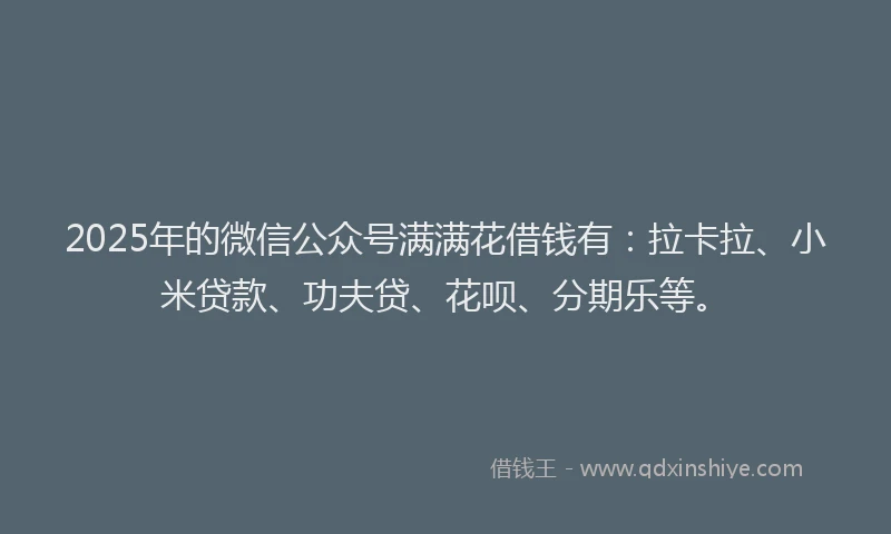 2025年的微信公众号满满花借钱有：拉卡拉、小米贷款、功夫贷、花呗、分期乐等。