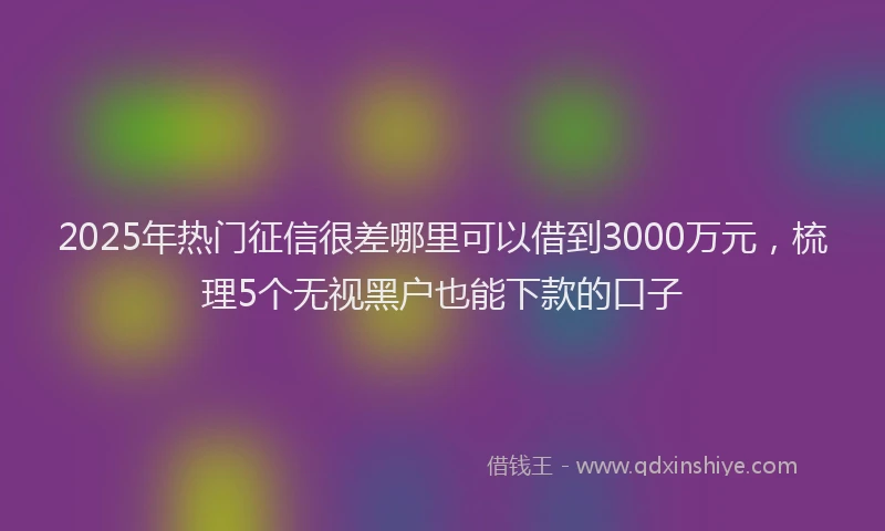 2025年热门征信很差哪里可以借到3000万元，梳理5个无视黑户也能下款的口子