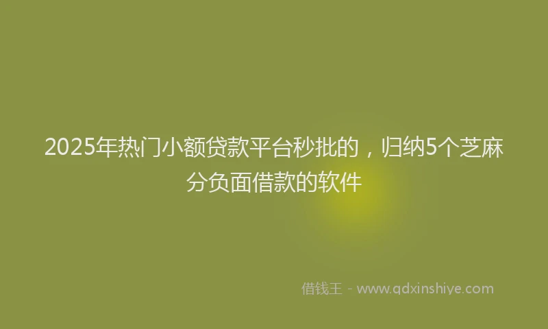 2025年热门小额贷款平台秒批的，归纳5个芝麻分负面借款的软件