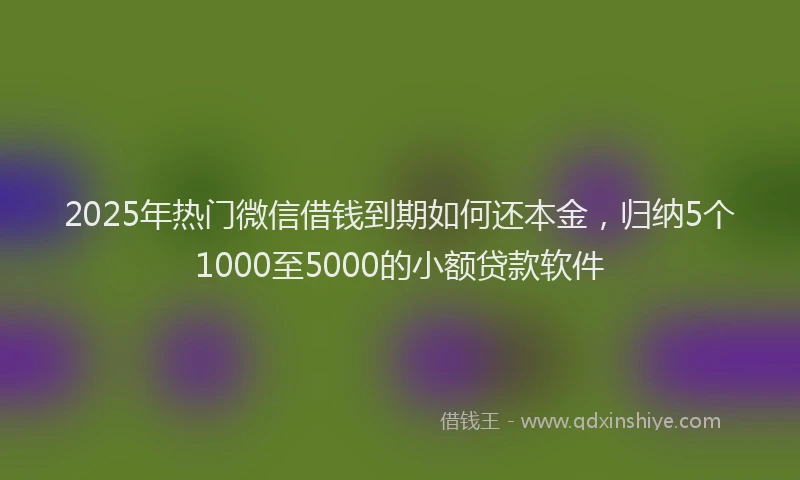 2025年热门微信借钱到期如何还本金，归纳5个1000至5000的小额贷款软件