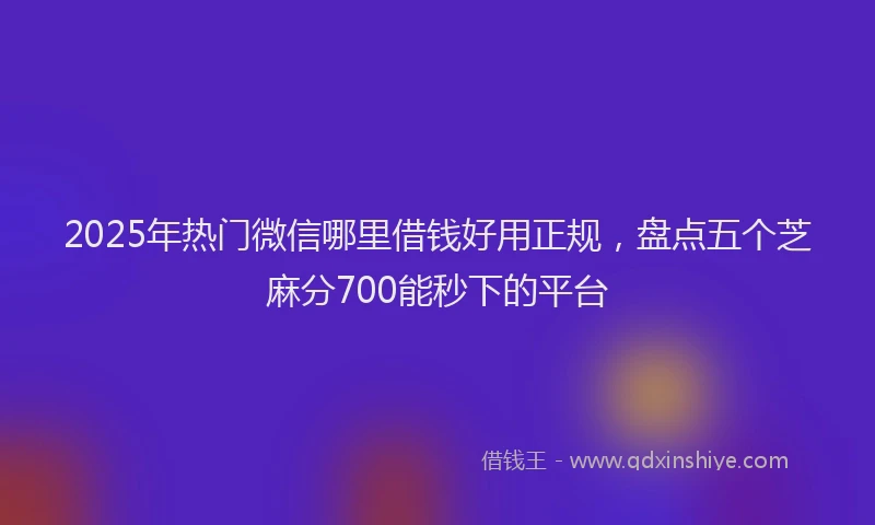 2025年热门微信哪里借钱好用正规，盘点五个芝麻分700能秒下的平台