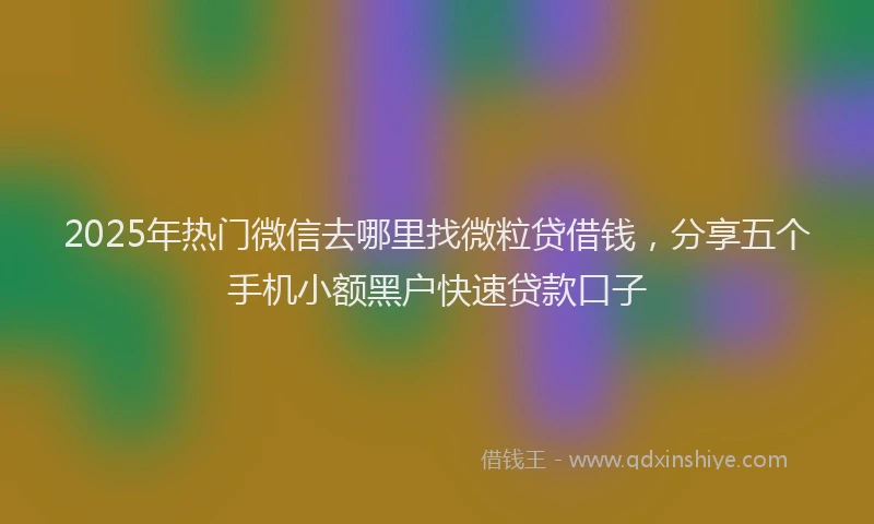 2025年热门微信去哪里找微粒贷借钱，分享五个手机小额黑户快速贷款口子