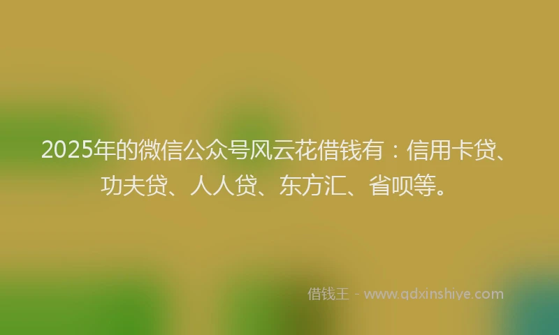 2025年的微信公众号风云花借钱有：信用卡贷、功夫贷、人人贷、东方汇、省呗等。