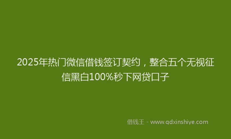 2025年热门微信借钱签订契约，整合五个无视征信黑白100%秒下网贷口子