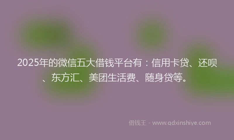 2025年的微信五大借钱平台有：信用卡贷、还呗、东方汇、美团生活费、随身贷等。