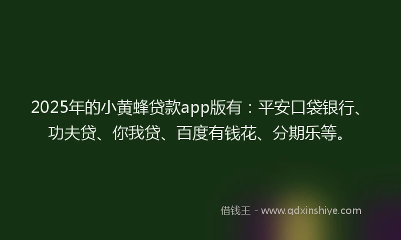 2025年的小黄蜂贷款app版有：平安口袋银行、功夫贷、你我贷、百度有钱花、分期乐等。