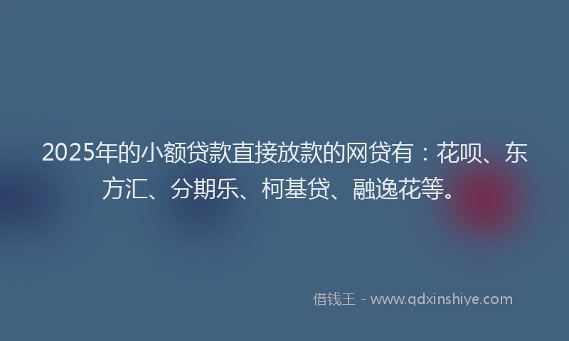 2025年的小额贷款直接放款的网贷有：花呗、东方汇、分期乐、柯基贷、融逸花等。