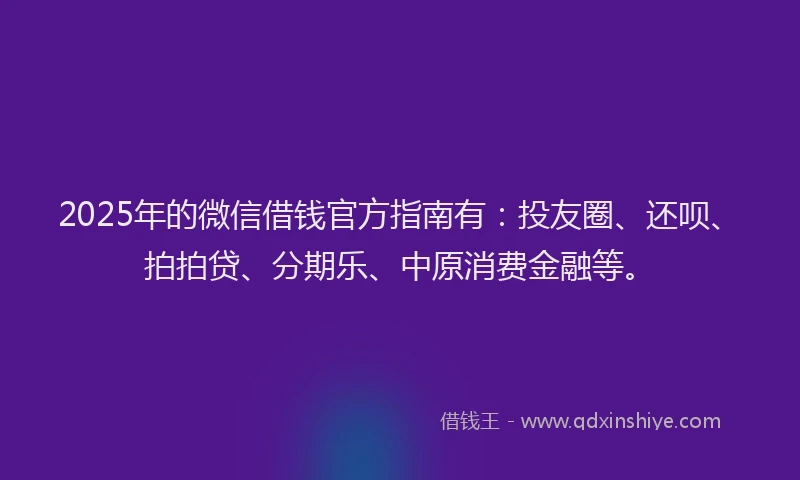 2025年的微信借钱官方指南有：投友圈、还呗、拍拍贷、分期乐、中原消费金融等。