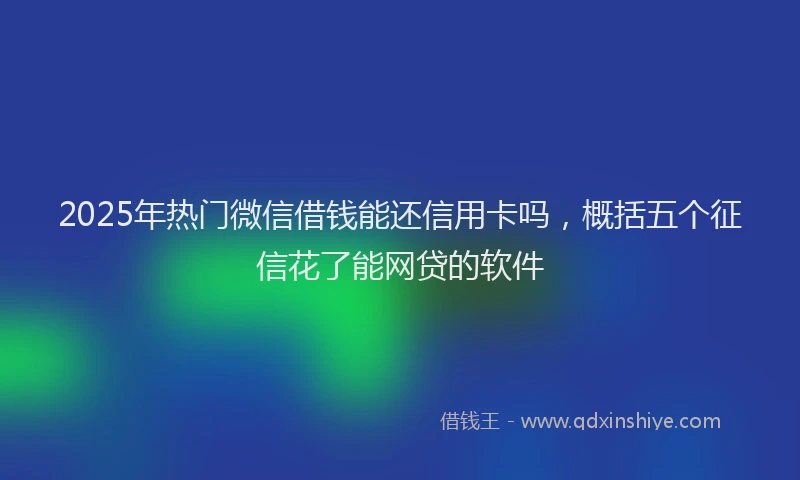 2025年热门微信借钱能还信用卡吗，概括五个征信花了能网贷的软件