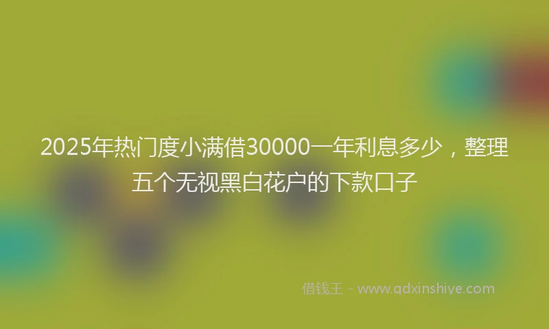2025年热门度小满借30000一年利息多少，整理五个无视黑白花户的下款口子