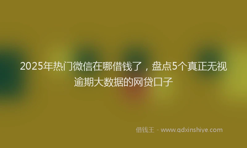 2025年热门微信在哪借钱了，盘点5个真正无视逾期大数据的网贷口子