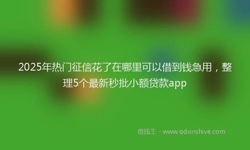 2025年热门征信花了在哪里可以借到钱急用，整理5个最新秒批小额贷款app