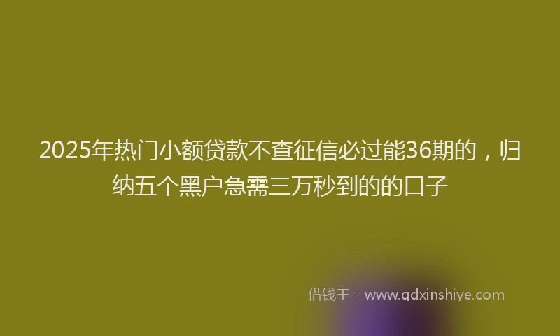2025年热门小额贷款不查征信必过能36期的，归纳五个黑户急需三万秒到的的口子