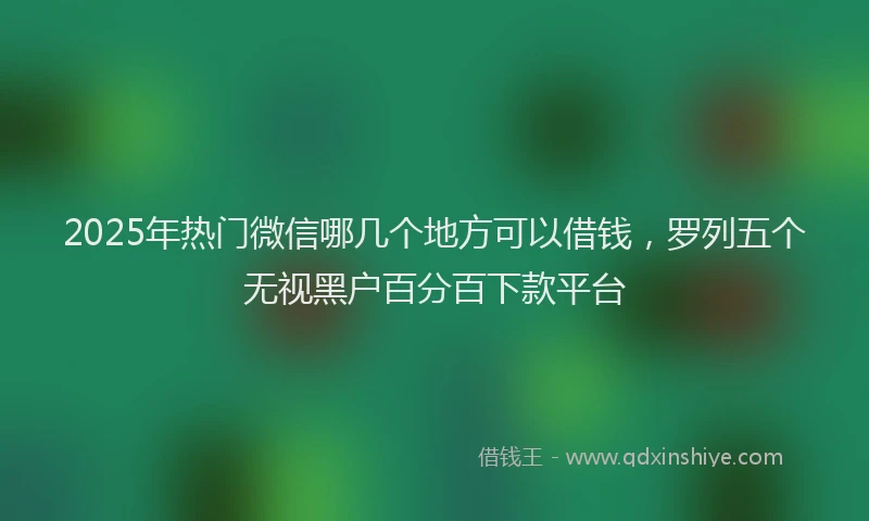 2025年热门微信哪几个地方可以借钱，罗列五个无视黑户百分百下款平台
