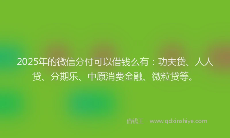 2025年的微信分付可以借钱么有：功夫贷、人人贷、分期乐、中原消费金融、微粒贷等。