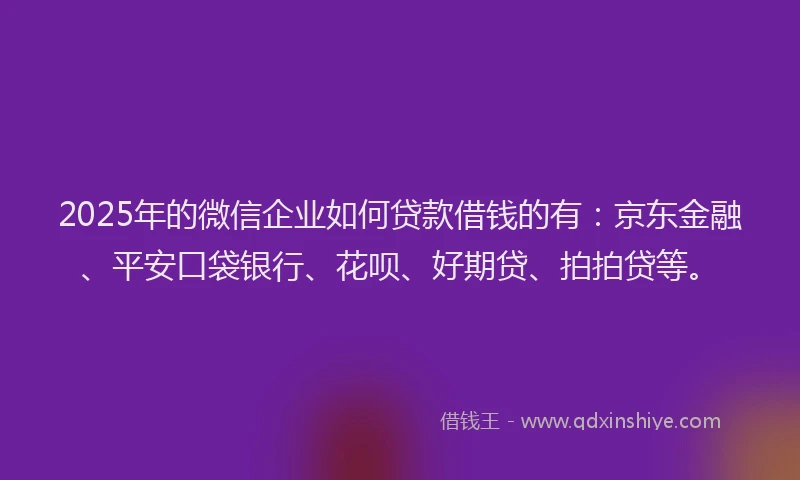 2025年的微信企业如何贷款借钱的有：京东金融、平安口袋银行、花呗、好期贷、拍拍贷等。