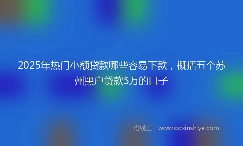 2025年热门小额贷款哪些容易下款，概括五个苏州黑户贷款5万的口子