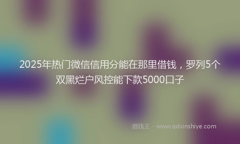 2025年热门微信信用分能在那里借钱，罗列5个双黑烂户风控能下款5000口子
