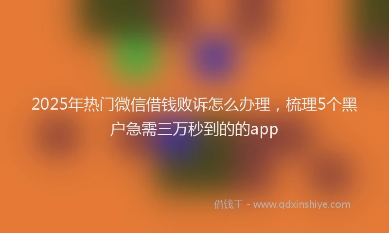 2025年热门微信借钱败诉怎么办理，梳理5个黑户急需三万秒到的的app