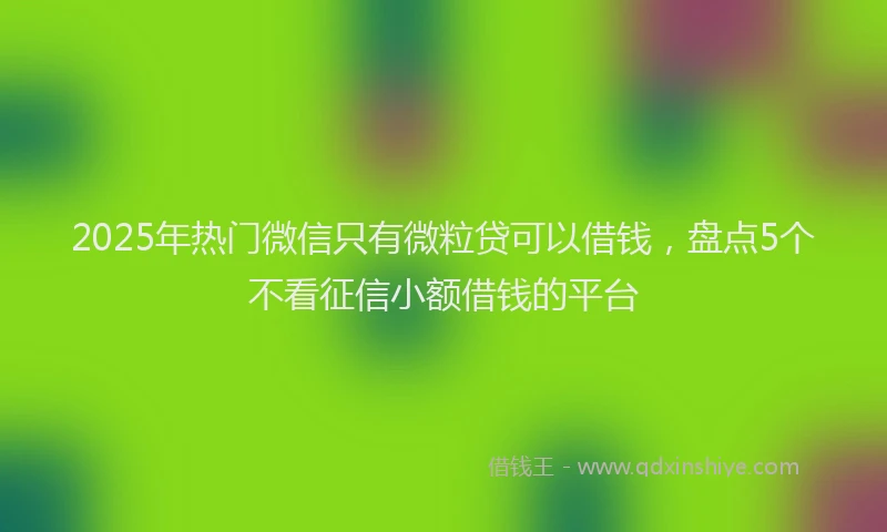 2025年热门微信只有微粒贷可以借钱，盘点5个不看征信小额借钱的平台
