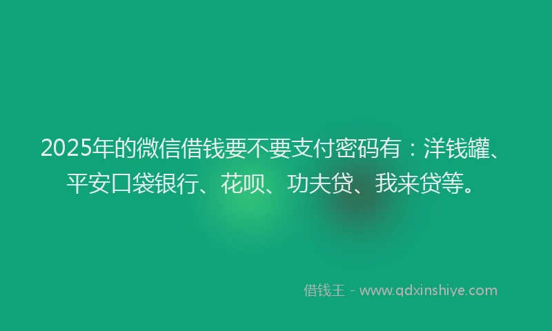 2025年的微信借钱要不要支付密码有：洋钱罐、平安口袋银行、花呗、功夫贷、我来贷等。