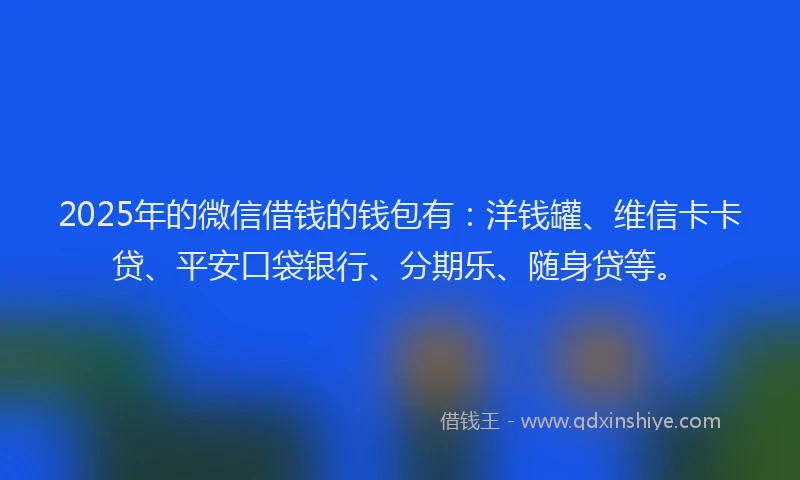 2025年的微信借钱的钱包有：洋钱罐、维信卡卡贷、平安口袋银行、分期乐、随身贷等。