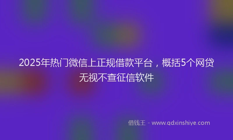 2025年热门微信上正规借款平台，概括5个网贷无视不查征信软件