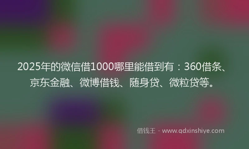 2025年的微信借1000哪里能借到有：360借条、京东金融、微博借钱、随身贷、微粒贷等。