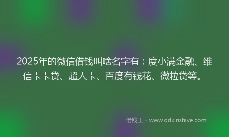 2025年的微信借钱叫啥名字有：度小满金融、维信卡卡贷、超人卡、百度有钱花、微粒贷等。