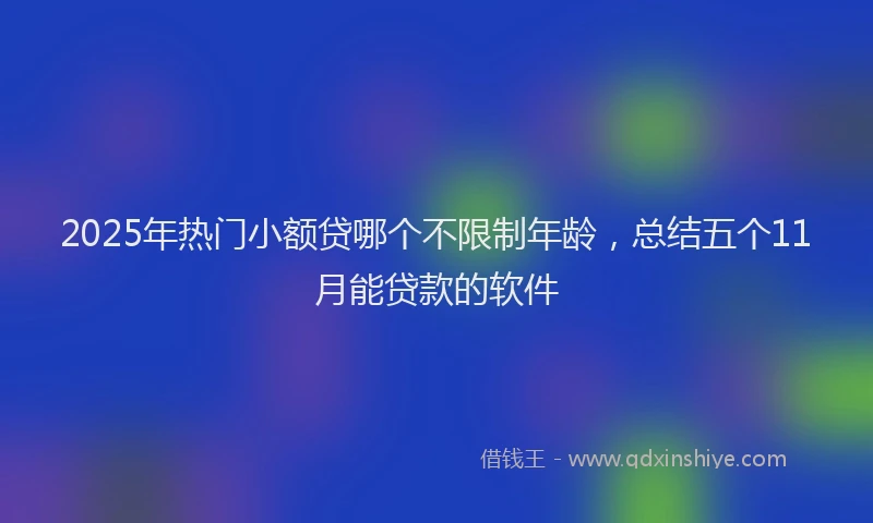 2025年热门小额贷哪个不限制年龄，总结五个11月能贷款的软件