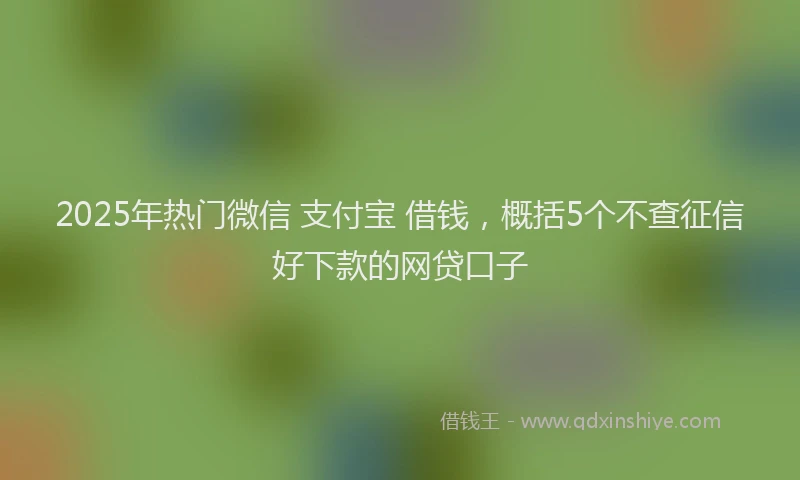 2025年热门微信 支付宝 借钱，概括5个不查征信好下款的网贷口子