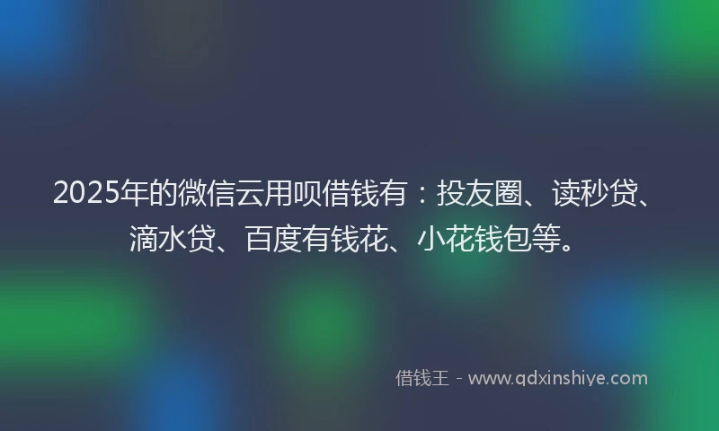 2025年的微信云用呗借钱有：投友圈、读秒贷、滴水贷、百度有钱花、小花钱包等。