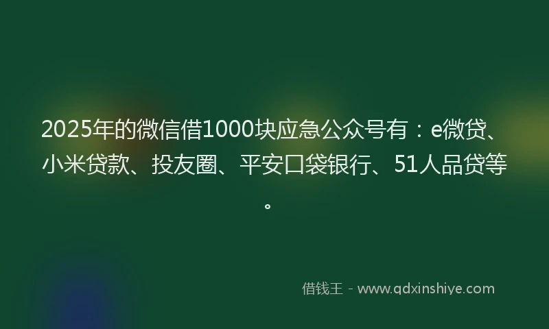 2025年的微信借1000块应急公众号有：e微贷、小米贷款、投友圈、平安口袋银行、51人品贷等。