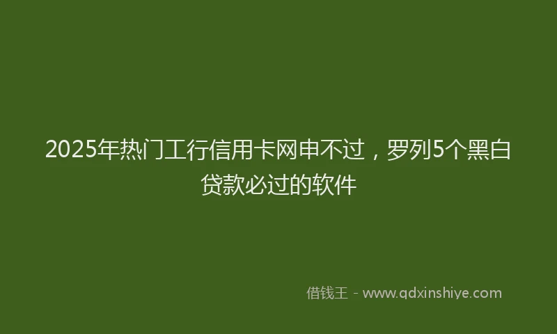 2025年热门工行信用卡网申不过，罗列5个黑白贷款必过的软件