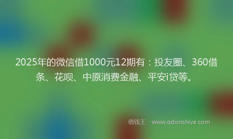 2025年的微信借1000元12期有：投友圈、360借条、花呗、中原消费金融、平安i贷等。