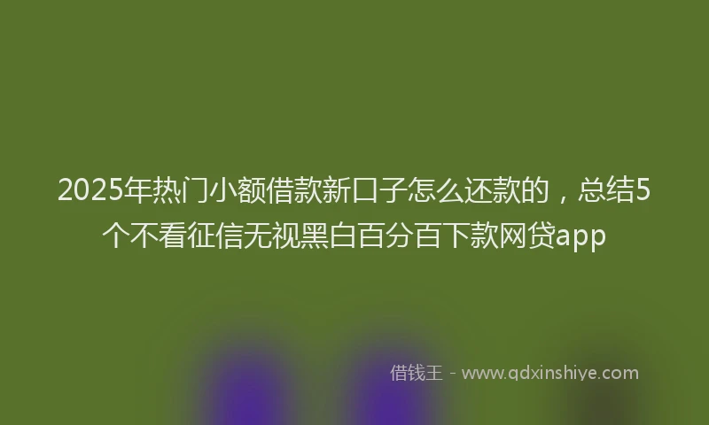2025年热门小额借款新口子怎么还款的，总结5个不看征信无视黑白百分百下款网贷app