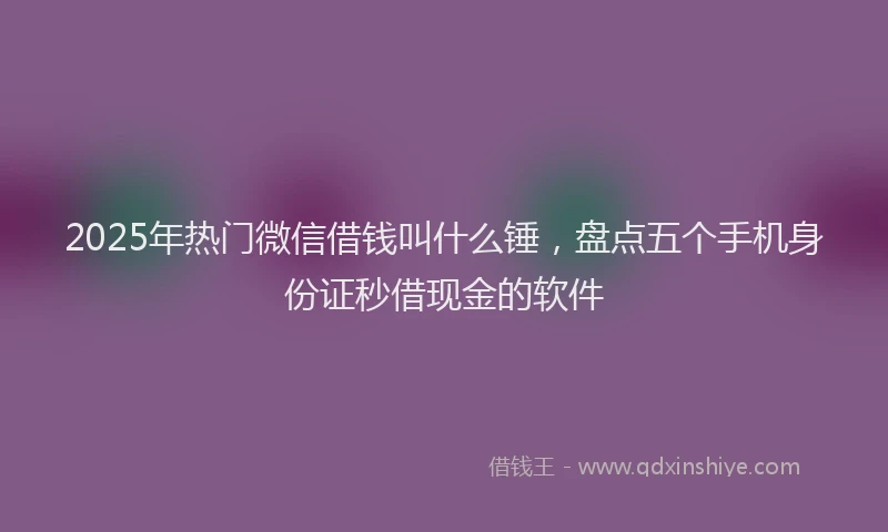 2025年热门微信借钱叫什么锤，盘点五个手机身份证秒借现金的软件