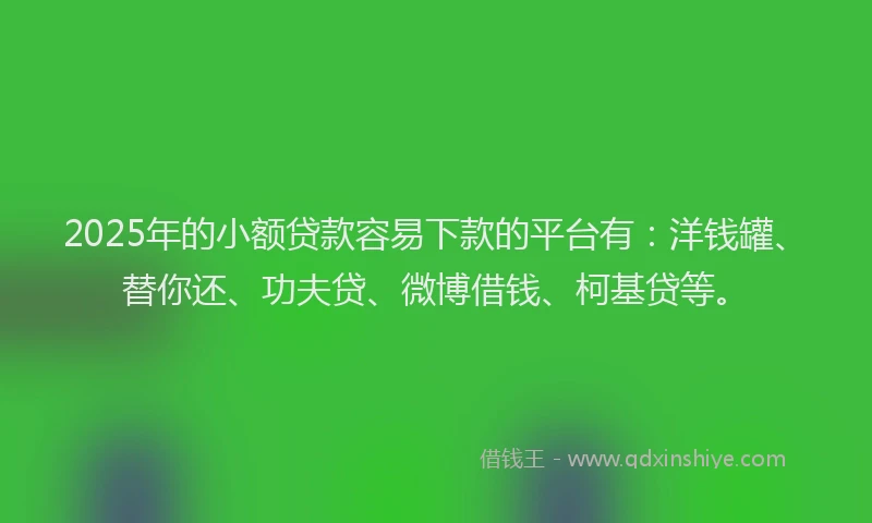2025年的小额贷款容易下款的平台有：洋钱罐、替你还、功夫贷、微博借钱、柯基贷等。