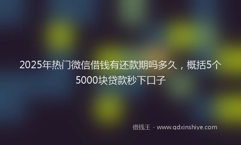 2025年热门微信借钱有还款期吗多久，概括5个5000块贷款秒下口子