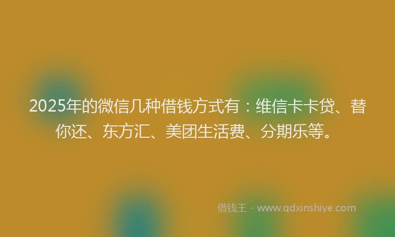 2025年的微信几种借钱方式有：维信卡卡贷、替你还、东方汇、美团生活费、分期乐等。