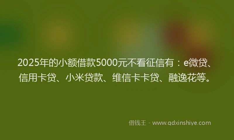 2025年的小额借款5000元不看征信有：e微贷、信用卡贷、小米贷款、维信卡卡贷、融逸花等。